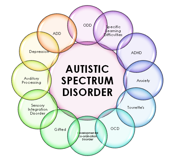 autism spectrum test circle
